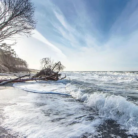 Apartment Ostseeperle Zingst Inklusive Strandkorb April-Oktober Apartament