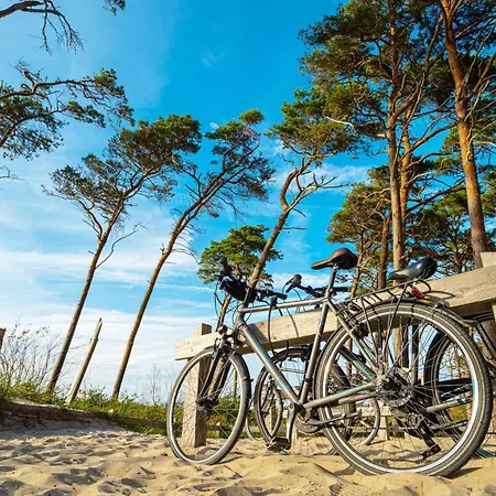 Apartment Ostseeperle Zingst Inklusive Strandkorb April-Oktober *